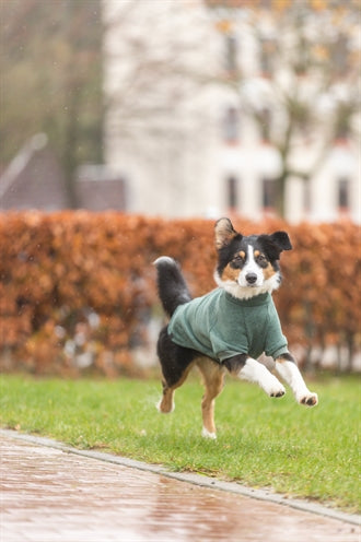 Trixie Citystyle Hundepullover Sweatshirt Amsterdam Dunkelgrün